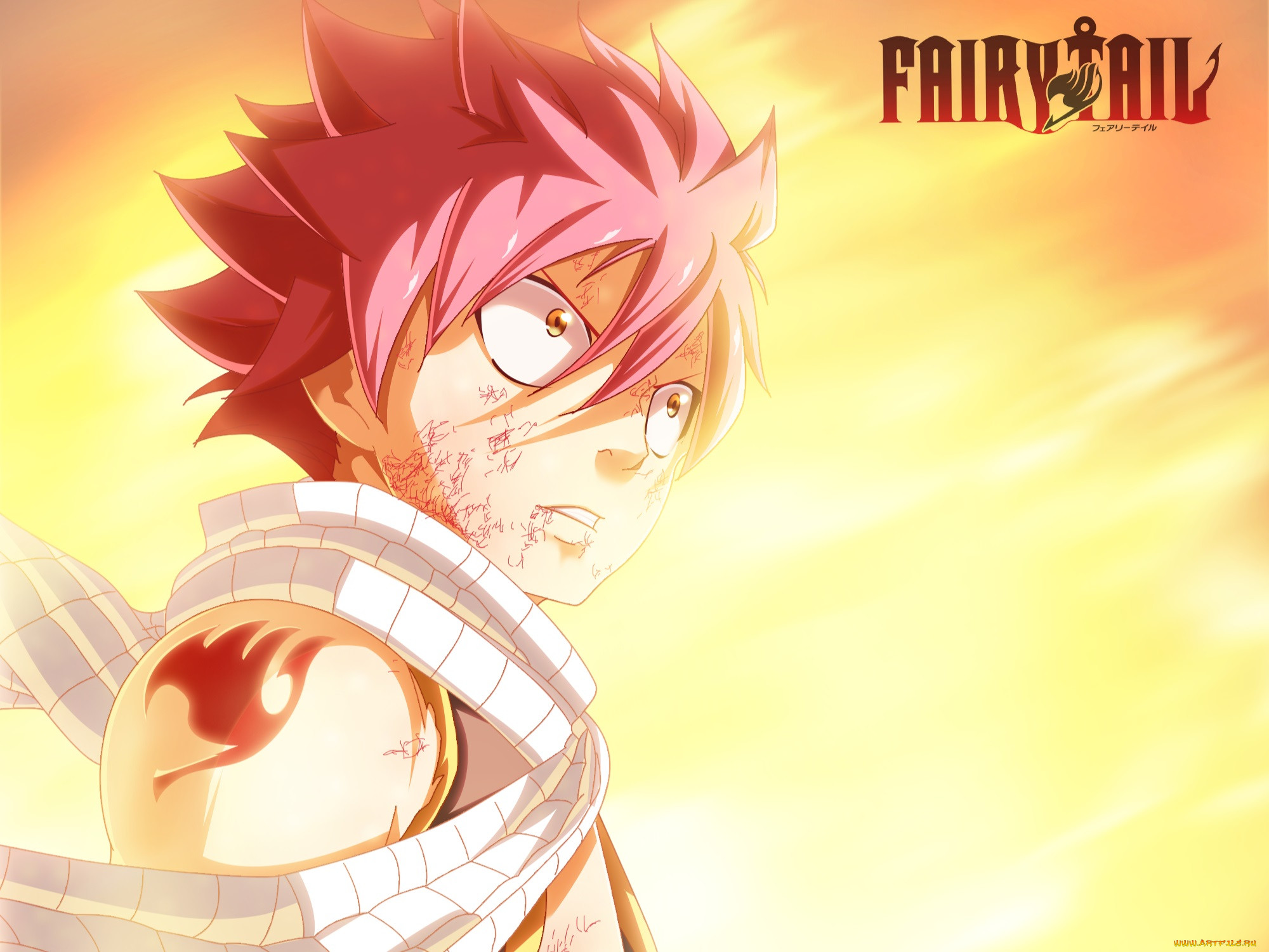 Обои Аниме Fairy Tail, обои для рабочего стола, фотографии аниме, fairy tail,  fairy, tail Обои для рабочего стола, скачать обои картинки заставки на  рабочий стол.